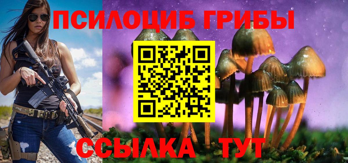 Псилоцибиновые грибы MAGIC MUSHROOMS Зеленогорск