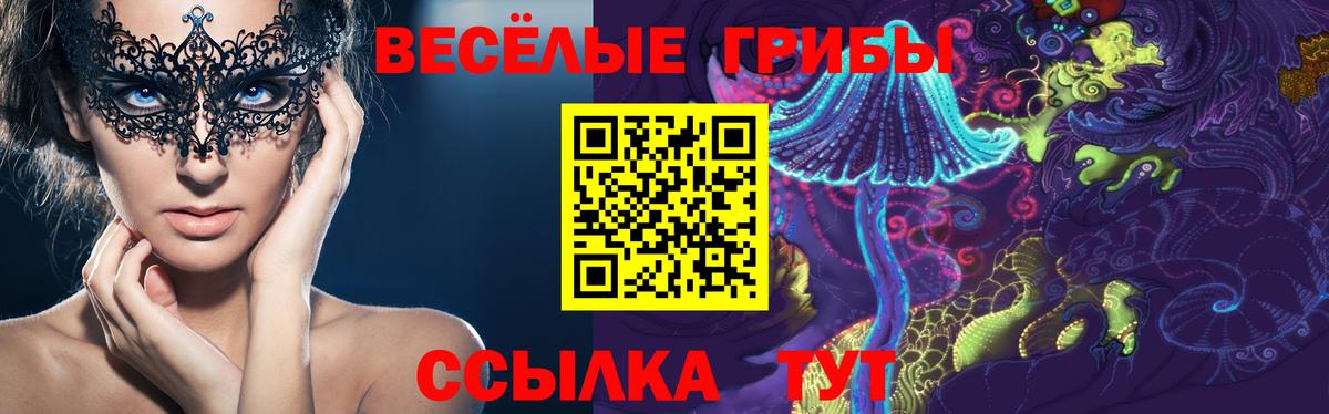 Зеленогорск  Псилоцибиновые грибы MAGIC MUSHROOMS  Вход с VPN  Галлюциногенные грибы Cubensis 